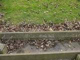 image of grave number 196242